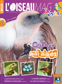 Couverture de l'OISEAU MAG JUNIOR n°27